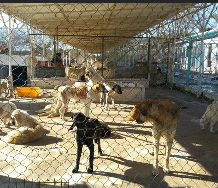 Kaybettiği Oğlunun Hayalini Gerçekleştirdi