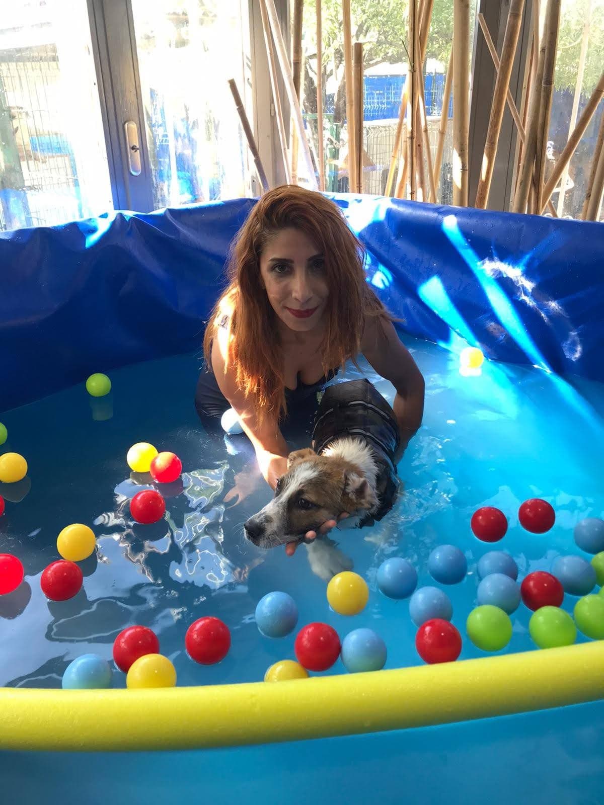 Kendi Canımızı Koruyalım Derken Onların Canlarını Yok Saymayalım…