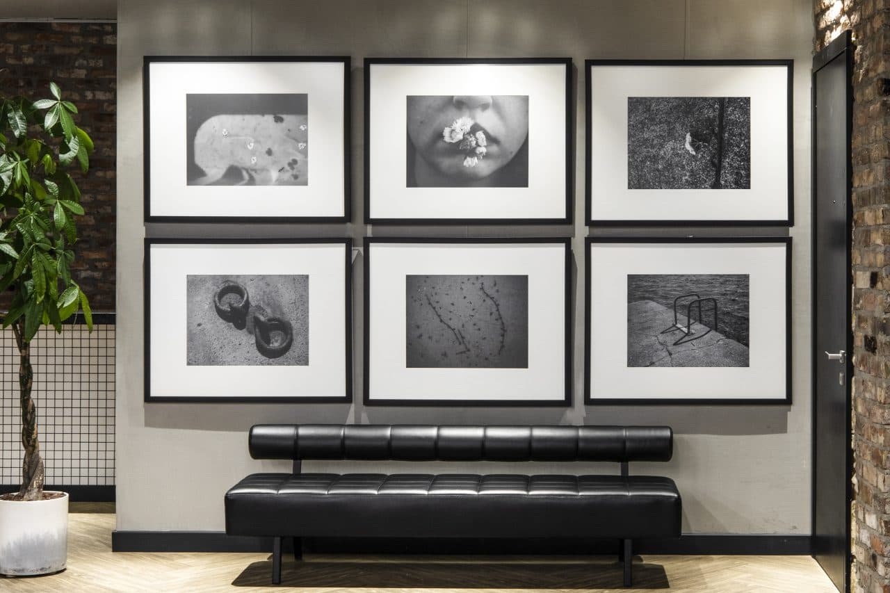 SANATA Bİ YER PLATFORMU ÜYESİ SANATÇILARIN “DOĞA NEREDE?” SERGİSİ YOĞUN İLGİ İLE KARŞILANDI