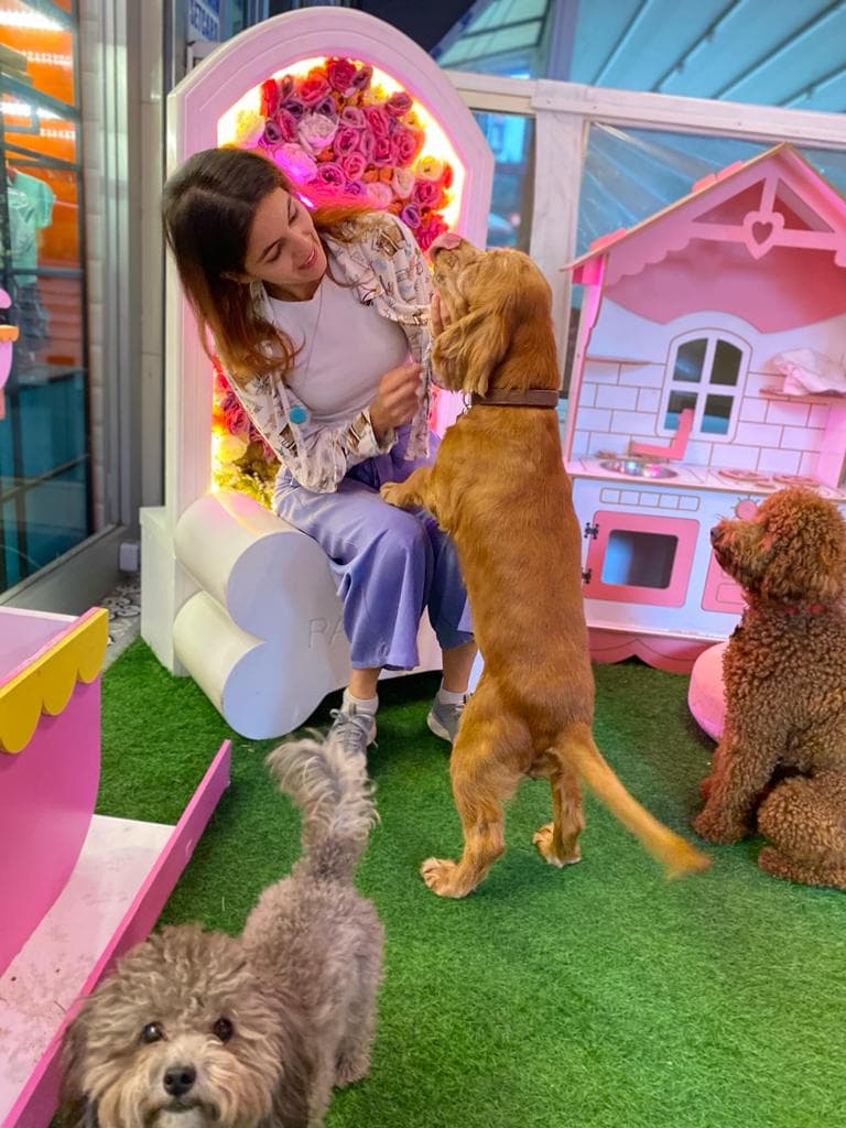 Köpekler ile İlgilenmeyi Kendine Meslek Edinmiş Selin Pakyürek…